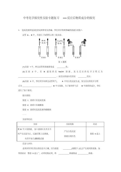 中考化学探究性实验专题复习---反应后物质成分的探究