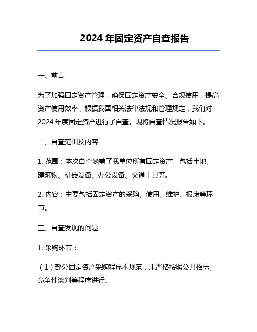 2024年固定资产自查报告