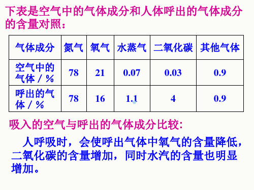 人体的呼吸讲解ppt课件