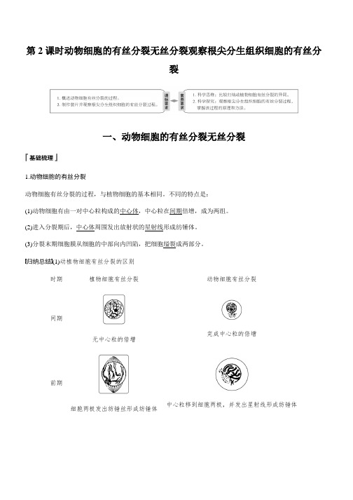 2019-2020学年人教版高中生物必修一第6章 细胞的生命历程 第1节 第2课时 Word版含答案