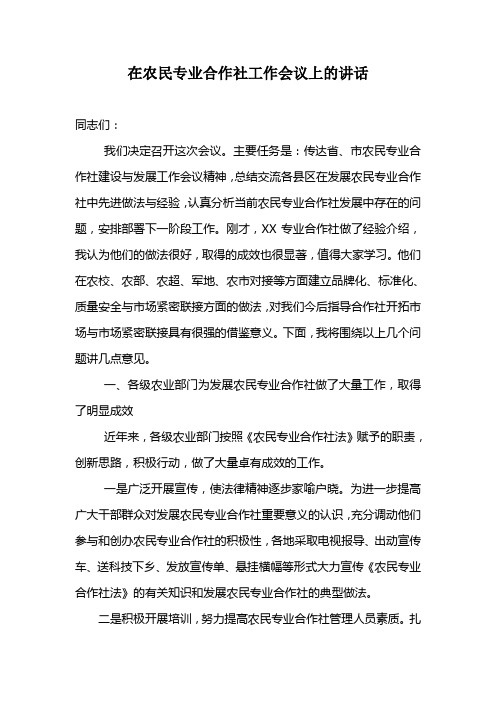 在农民专业合作社工作会议上的讲话