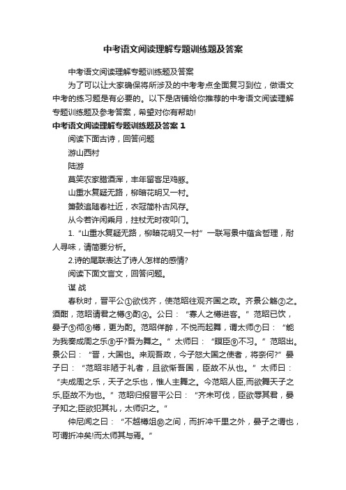 中考语文阅读理解专题训练题及答案