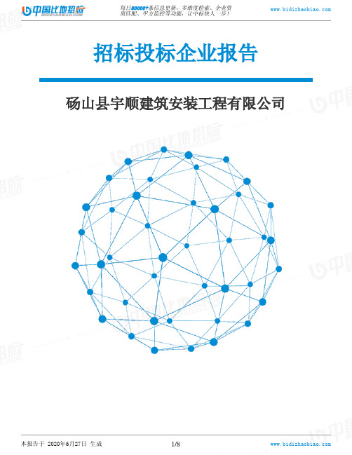 砀山县宇顺建筑安装工程有限公司-招投标数据分析报告