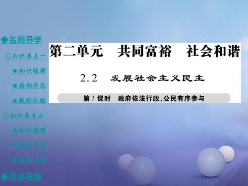 九年级政治全册第二单元共同富裕社会和谐2.2发展社会主义民主第3课时课件粤教版