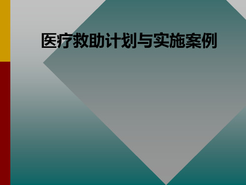 医疗救助计划与实施案例PPT课件