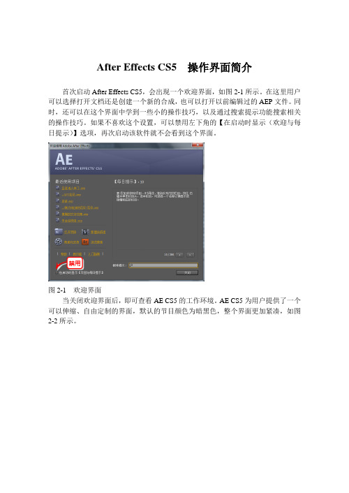 After Effects CS5 操作界面简介
