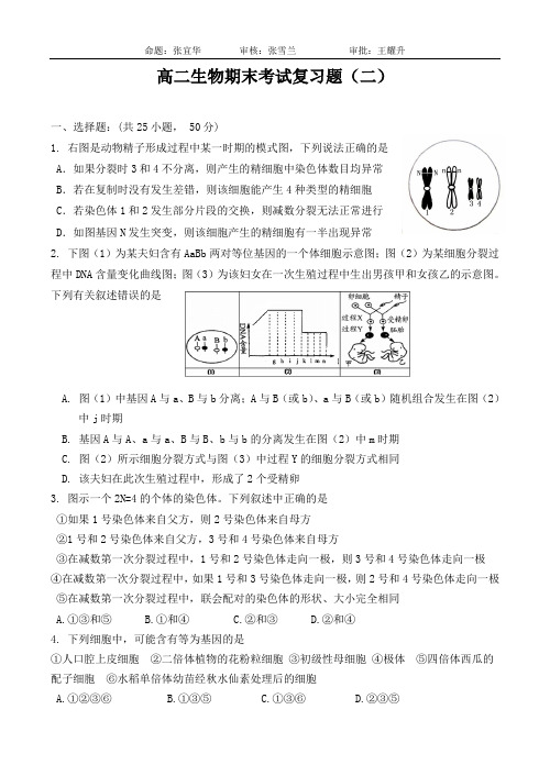 高二生物必修二期末复习二教材