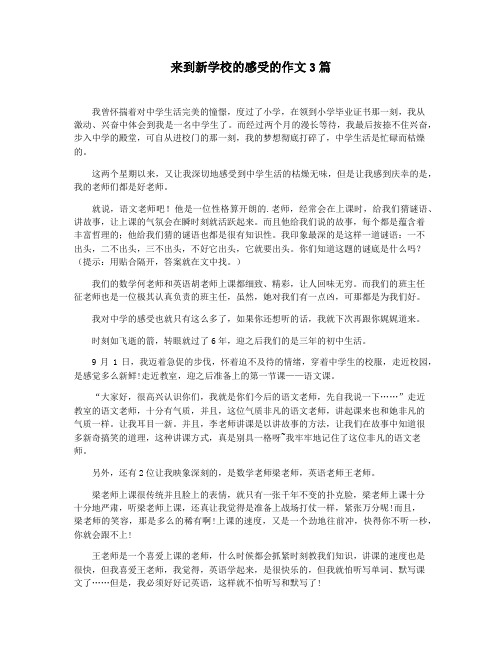 来到新学校的感受的作文3篇