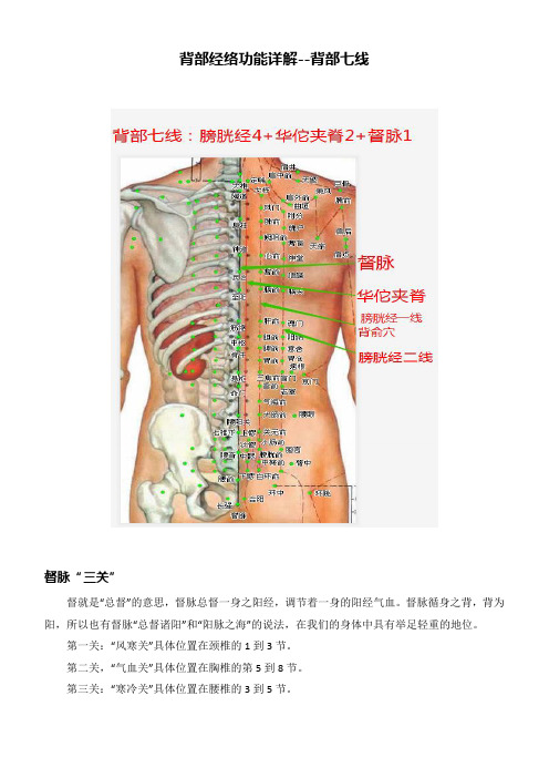 背部经络功能详解--背部七线