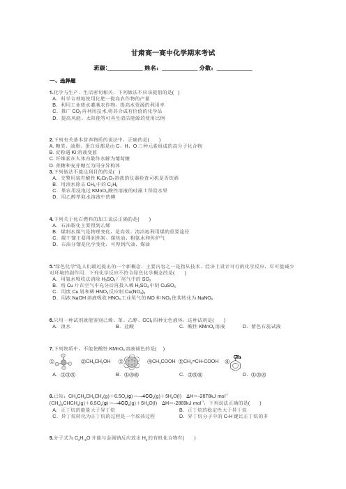 甘肃高一高中化学期末考试带答案解析
