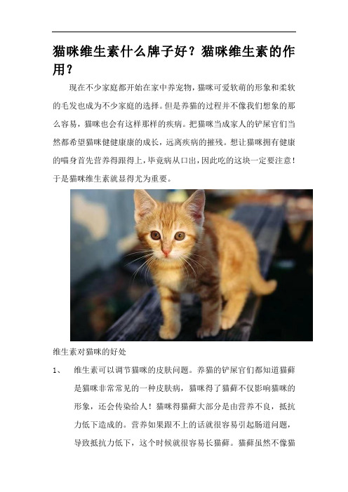 猫咪维生素什么牌子好？猫多维的作用？