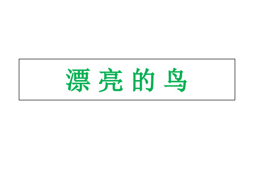 人美版小学美术二年级上册《漂亮的鸟》课件