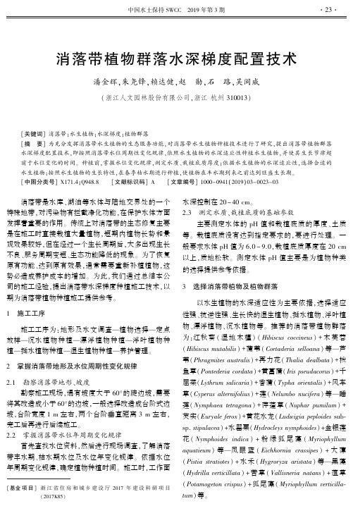 消落带植物群落水深梯度配置技术