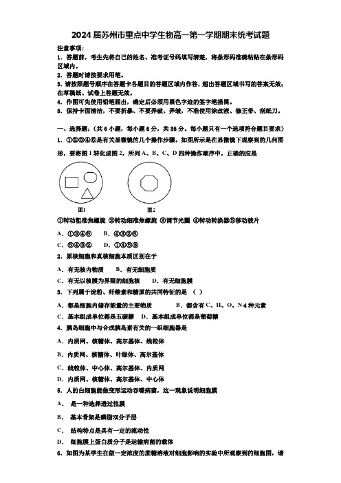 2024届苏州市重点中学生物高一第一学期期末统考试题含解析