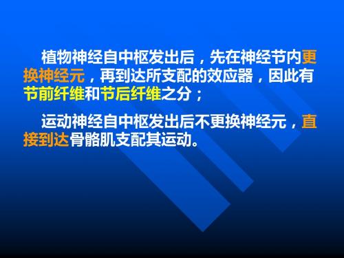 2018年外周神经系统药理-文档资料