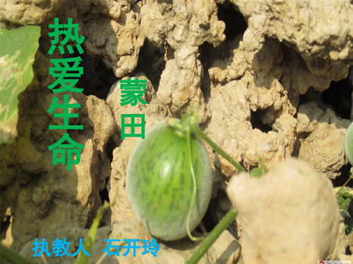 蒙田《热爱生命》ppt课件