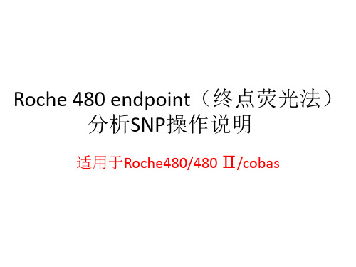 Roche 480终点荧光SNP分析流程-新