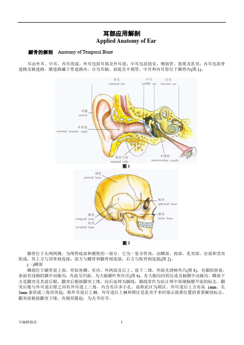 耳部应用解剖