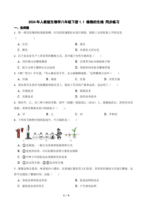 2024年人教版生物学八年级下册1.1 植物的生殖 同步练习