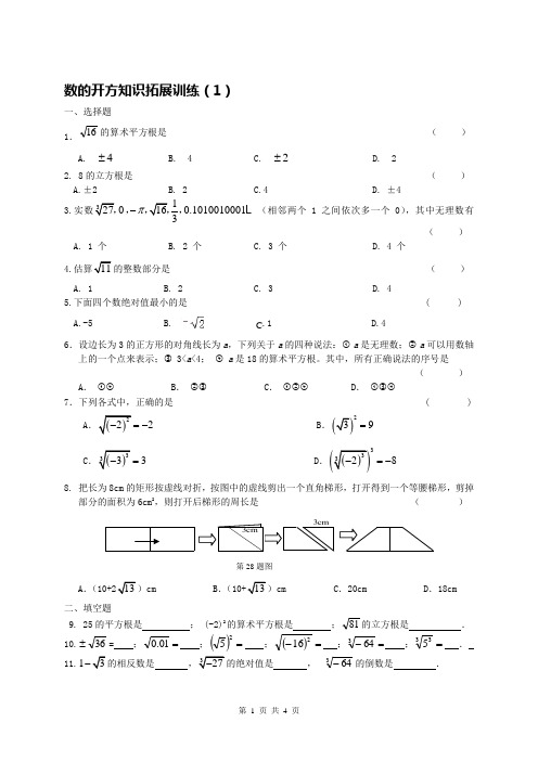 数的开方知识拓展训练(1)