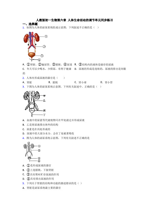 人教版初一生物第六章 人体生命活动的调节单元同步练习