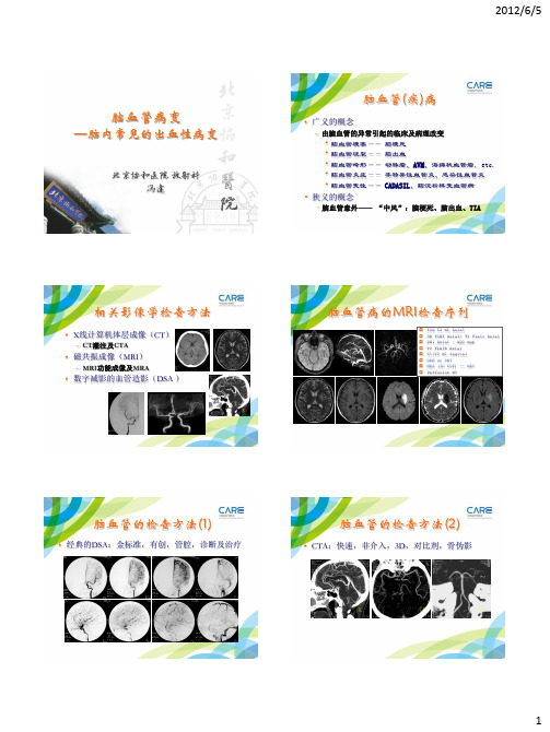 脑血管病变—脑内常见的出血性病变-冯逢