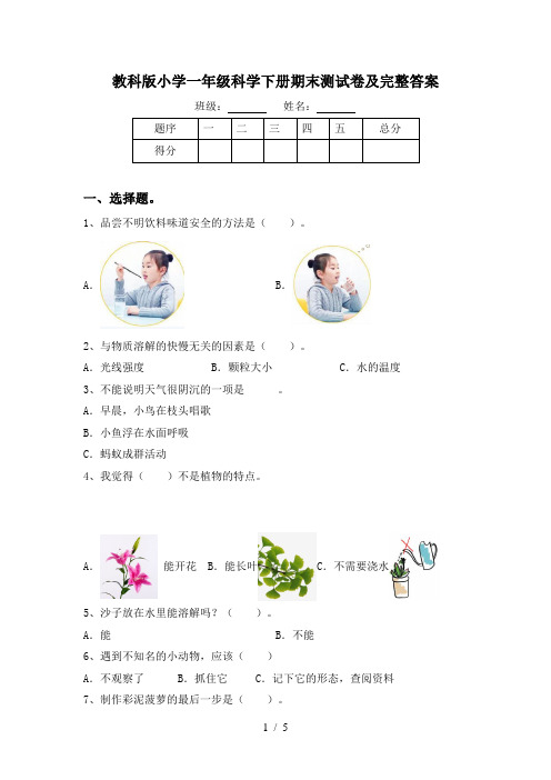 教科版小学一年级科学下册期末测试卷及完整答案