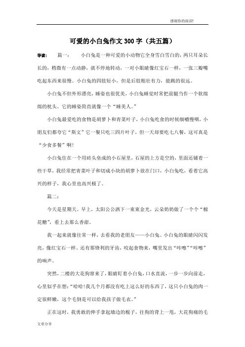 可爱的小白兔作文300字(共五篇)