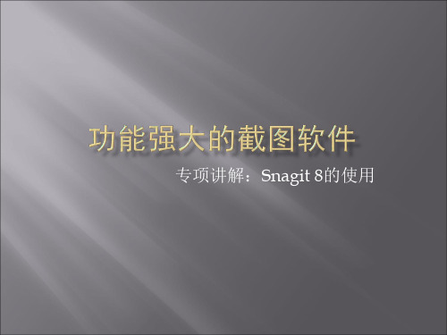 sagit 8抓图软件使用说明