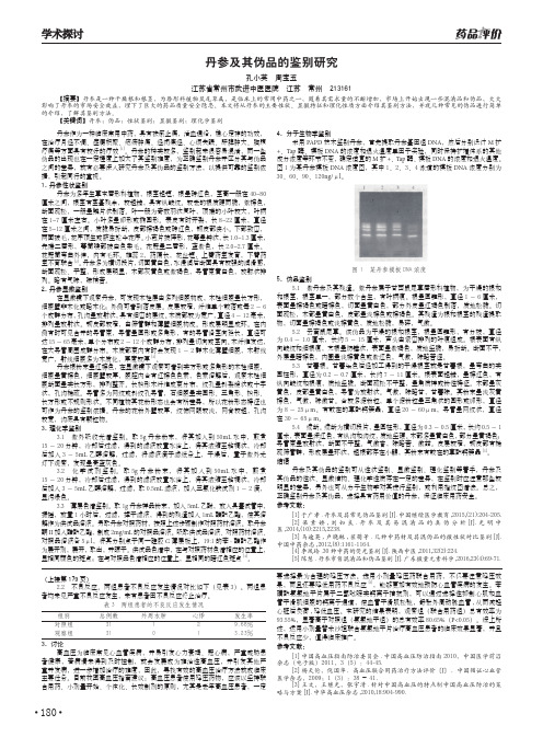 丹参及其伪品的鉴别研究