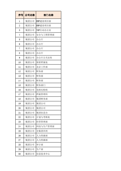 中广核集团各成员公司软件资产清单(2011年5月)_各软件项目负责人信息