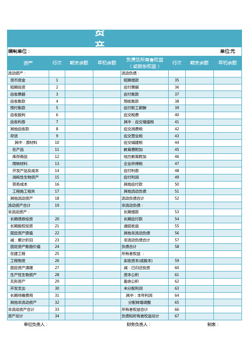 公司资产负债表格