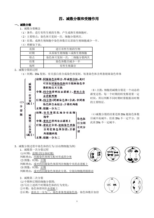 高三生物一轮复习精品教案——减数分裂