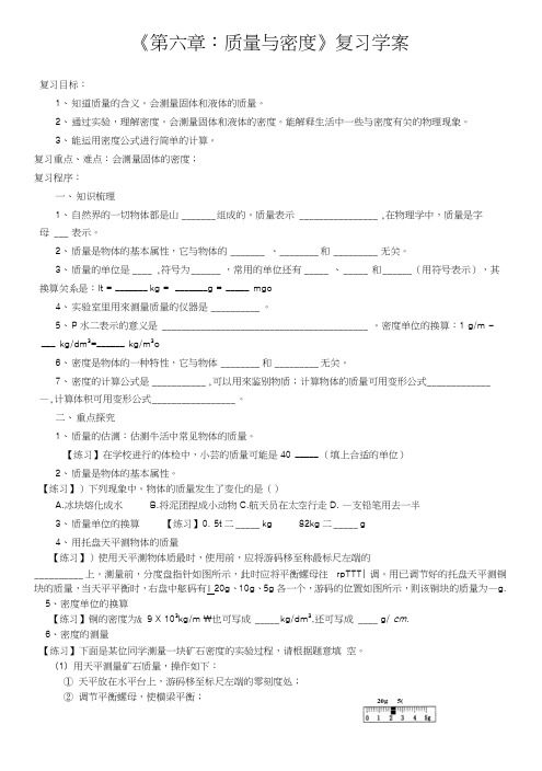 第六章质量与密度复习学案.doc