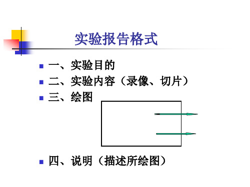 病理实验考试1适应与损伤