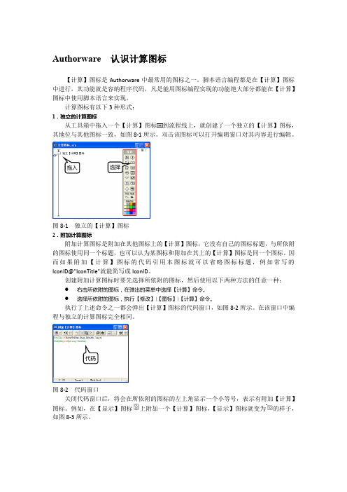 Authorware  认识计算图标