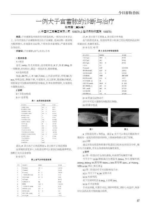 一例犬子宫蓄脓的诊断与治疗