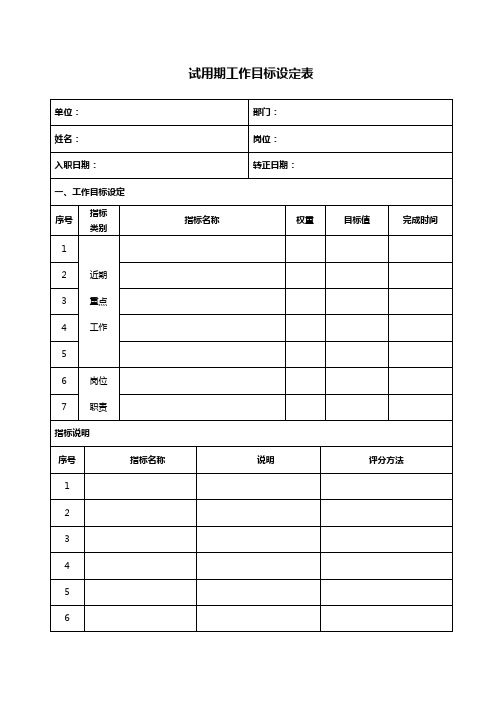 试用期工作目标设定表