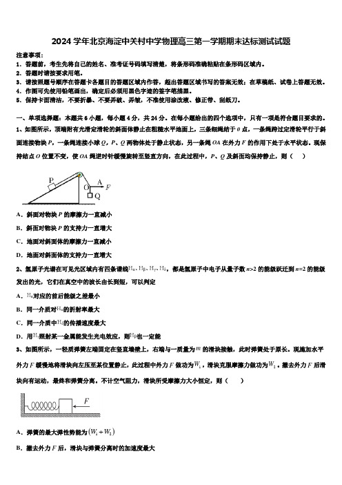 2024学年北京海淀中关村中学物理高三第一学期期末达标测试试题含解析