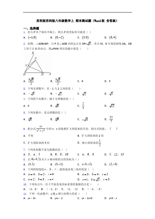 苏科版苏科版八年级数学上 期末测试题(Word版 含答案)