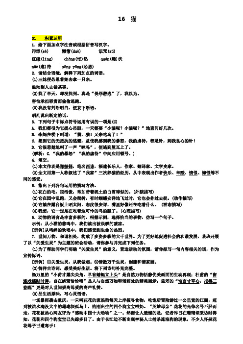 七年级语文上册第五单元16猫练习新人教版(含试卷)