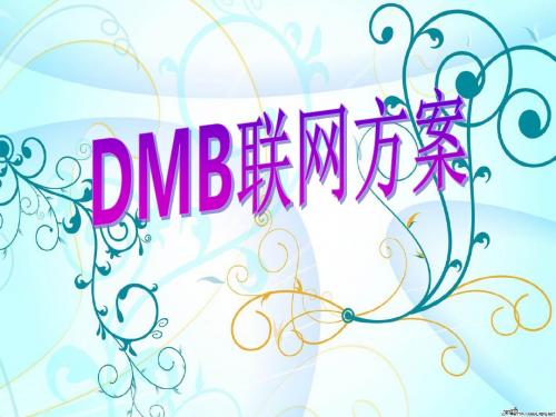 DMB联网方案.