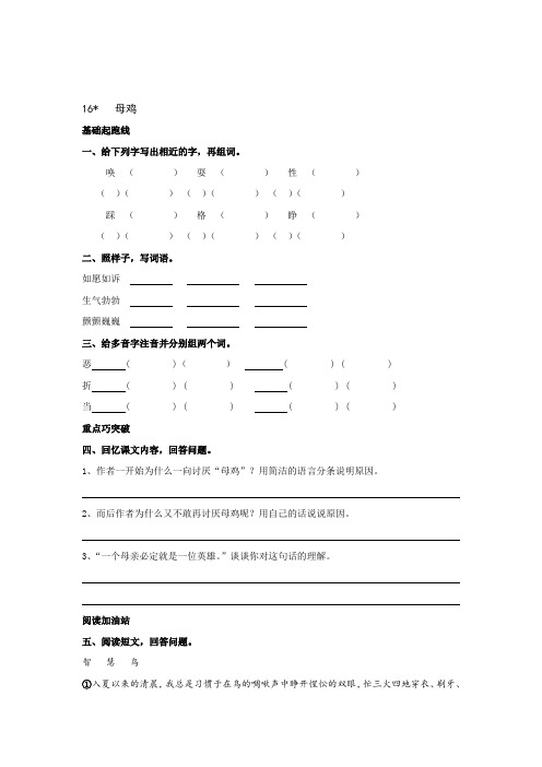 部编四语下册 16母鸡练习题