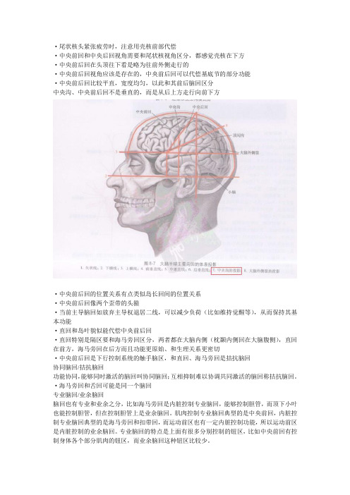 巫医神兔的医学催眠术笔记三十九(2014-3-14存档)