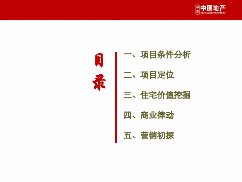 石家庄旧城改造项目策划报告1