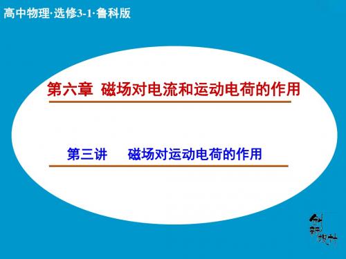 高中物理鲁科版选修31 课件+对点练习+题组训练：第四