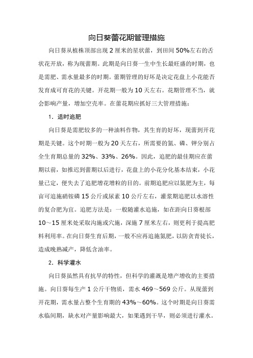 向日葵蕾花期管理措施