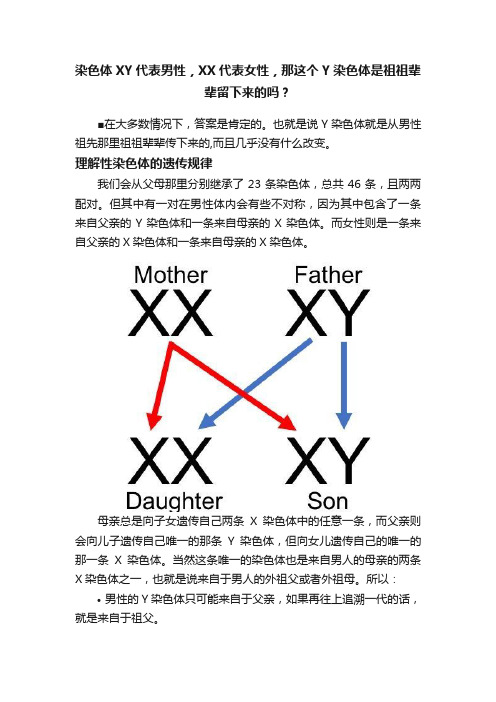 染色体XY代表男性，XX代表女性，那这个Y染色体是祖祖辈辈留下来的吗？