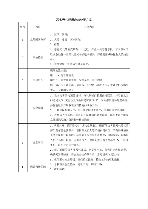 恶劣天气现场应急处置方案