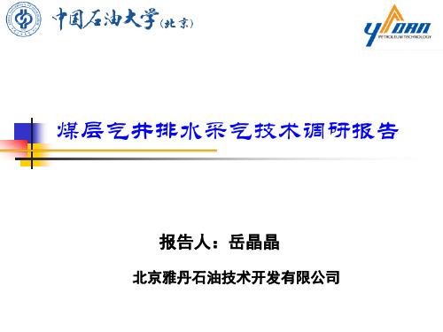 煤层气井排水采气技术调研报告